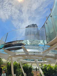 サンシャイン水族館に投稿された画像（2026/8/18）