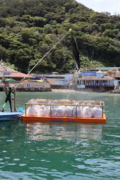 下田海中水族館に投稿された画像（2026/8/18）