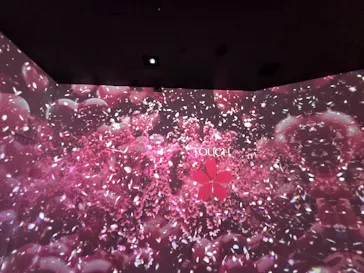 MIRACLE WORLD OSAKAに投稿された画像（2026/8/18）