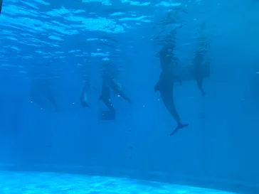 マリンワールド海の中道に投稿された画像（2026/8/18）