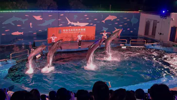 仙台うみの杜水族館に投稿された画像（2026/8/18）