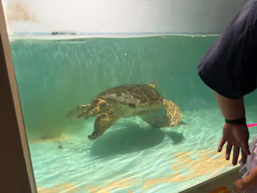 仙台うみの杜水族館に投稿された画像（2026/8/18）