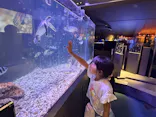 すみだ水族館に投稿された画像（2026/8/18）