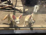 伊豆シャボテン動物公園に投稿された画像（2026/8/18）