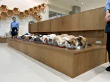 Cat Café MOFF イーアス沖縄豊崎店に投稿された画像（2026/8/18）