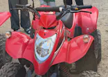 BuggyParadiseに投稿された画像（2026/8/18）