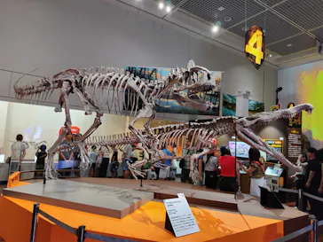 特別展　大絶滅展に投稿された画像（2026/8/18）