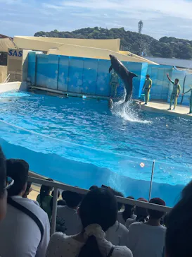 新江ノ島水族館に投稿された画像（2026/8/18）