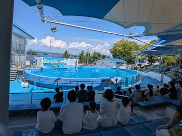 のとじま水族館に投稿された画像（2026/8/18）