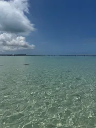 ACTIVITY MIYKOJIMA DOSUに投稿された画像（2026/8/18）