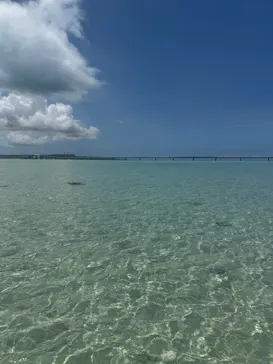 ACTIVITY MIYKOJIMA DOSUに投稿された画像（2026/8/18）