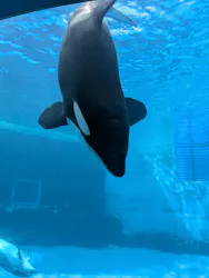 名古屋港水族館に投稿された画像（2026/8/18）