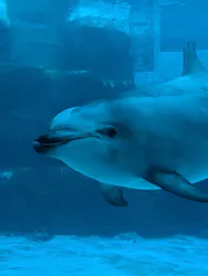名古屋港水族館に投稿された画像（2026/8/18）