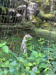 多摩動物公園に投稿された画像（2026/8/18）