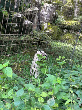 多摩動物公園に投稿された画像（2026/8/18）