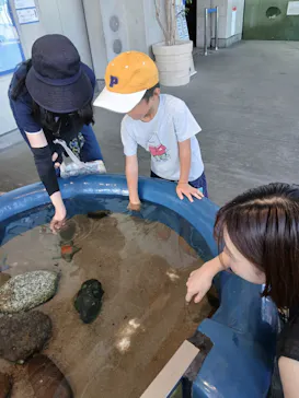 大分マリーンパレス水族館 「うみたまご」に投稿された画像（2026/8/18）