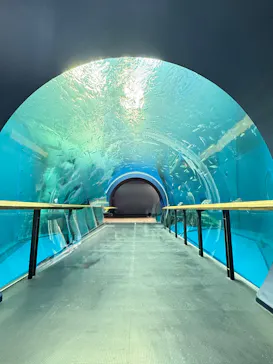 滋賀県立琵琶湖博物館に投稿された画像（2026/8/18）