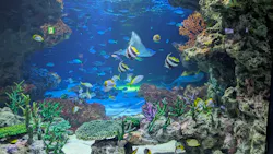 サンシャイン水族館に投稿された画像（2026/8/18）