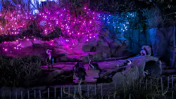 サンシャイン水族館に投稿された画像（2026/8/18）