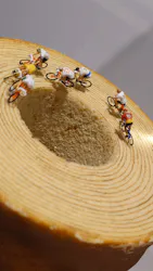 MINIATURE LIFE展2ー田中達也 見立ての世界ー（氷見市芸術文化館）に投稿された画像（2026/8/18）