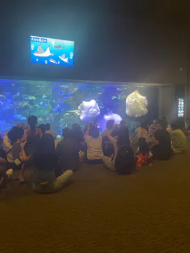 大分マリーンパレス水族館 「うみたまご」に投稿された画像（2026/8/18）