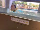 横浜・八景島シーパラダイスに投稿された画像（2026/8/18）