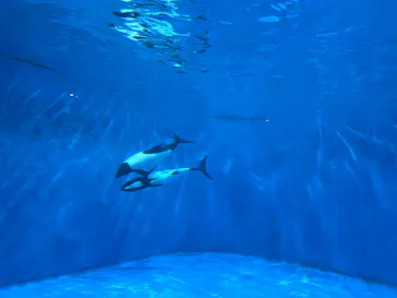 仙台うみの杜水族館に投稿された画像（2026/8/18）
