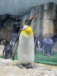 仙台うみの杜水族館に投稿された画像（2026/8/18）