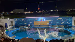 仙台うみの杜水族館に投稿された画像（2026/8/18）