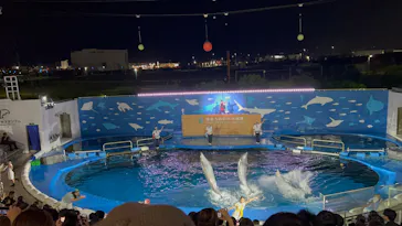 仙台うみの杜水族館に投稿された画像（2026/8/18）