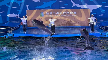 仙台うみの杜水族館に投稿された画像（2026/8/18）