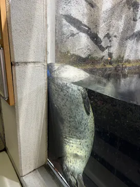 仙台うみの杜水族館に投稿された画像（2026/8/18）