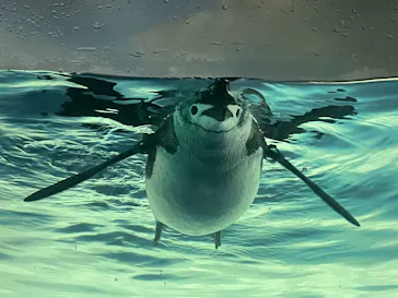 名古屋港水族館に投稿された画像（2026/8/18）