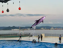 マリンワールド海の中道に投稿された画像（2026/8/18）