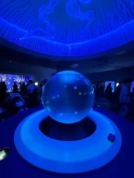 新江ノ島水族館に投稿された画像（2026/8/18）
