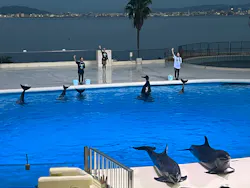 マリンワールド海の中道に投稿された画像（2026/8/18）