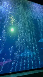 マリンワールド海の中道に投稿された画像（2026/8/18）