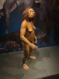 国立科学博物館に投稿された画像（2026/8/19）