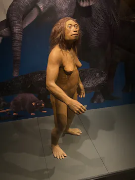 国立科学博物館に投稿された画像（2026/8/18）