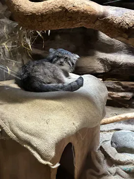 恩賜上野動物園に投稿された画像（2026/8/18）