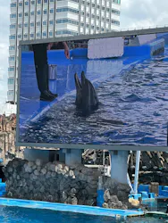 名古屋港水族館に投稿された画像（2026/8/18）