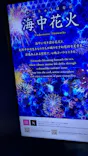 マクセル アクアパーク品川に投稿された画像（2026/8/19）