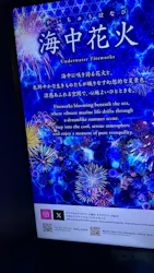 マクセル アクアパーク品川に投稿された画像（2026/8/18）