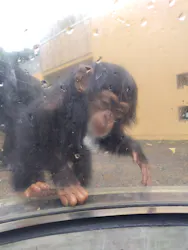 日立市かみね動物園に投稿された画像（2026/8/18）