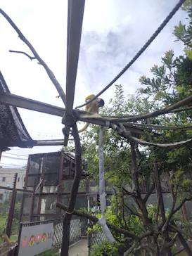 日立市かみね動物園に投稿された画像（2026/8/18）