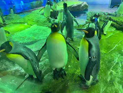 島根県立 しまね海洋館に投稿された画像（2026/8/18）