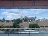ひらかたパークに投稿された画像（2026/8/19）