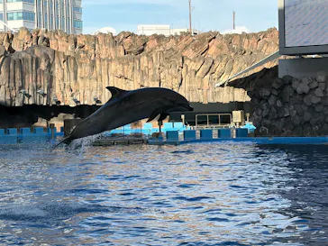 名古屋港水族館に投稿された画像（2026/8/19）