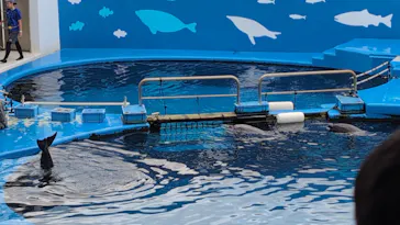 仙台うみの杜水族館に投稿された画像（2026/8/19）