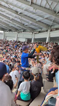 仙台うみの杜水族館に投稿された画像（2026/8/19）